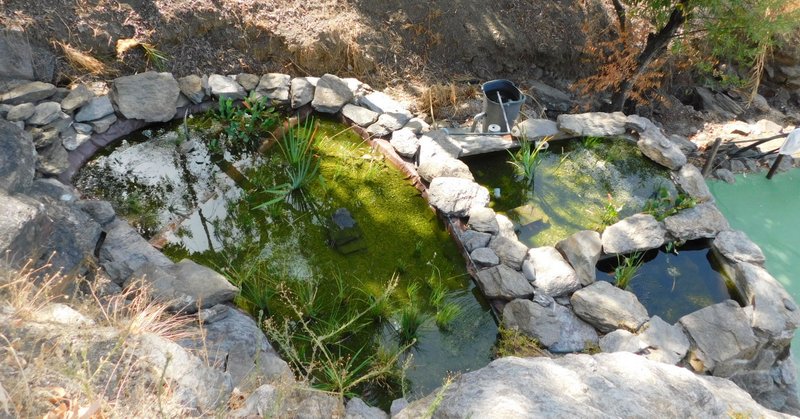 Hus uavhengig 2 sovesaler 2 baños 10 minutter fra Torrox