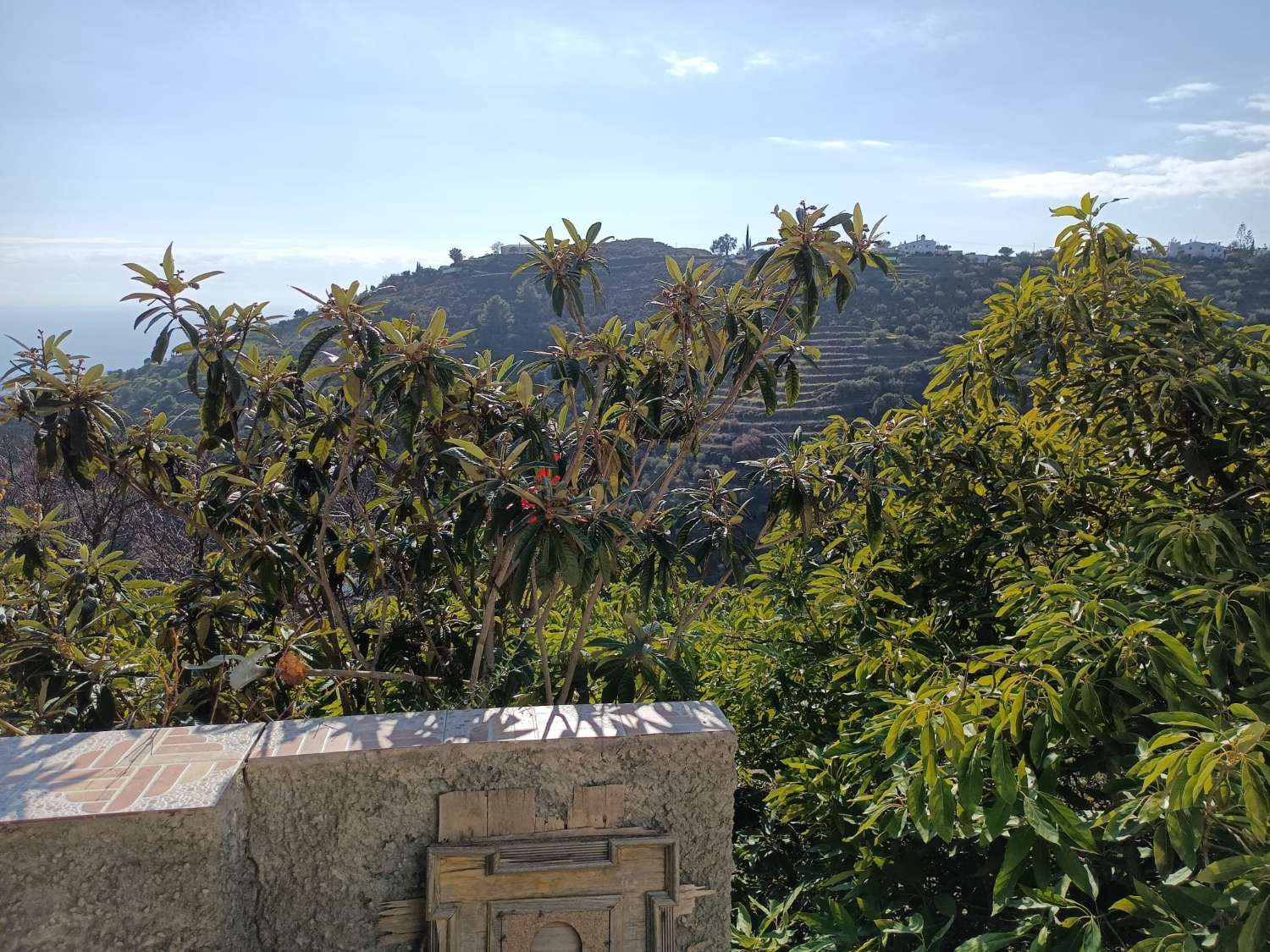 Xalet en venda in Torrox