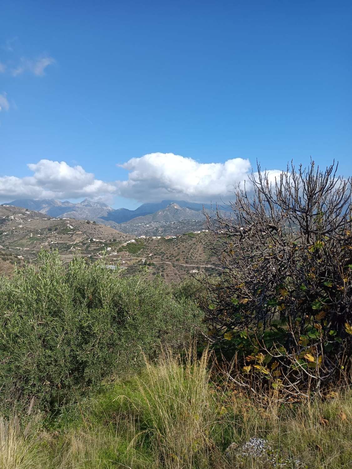 Xalet en venda in Torrox