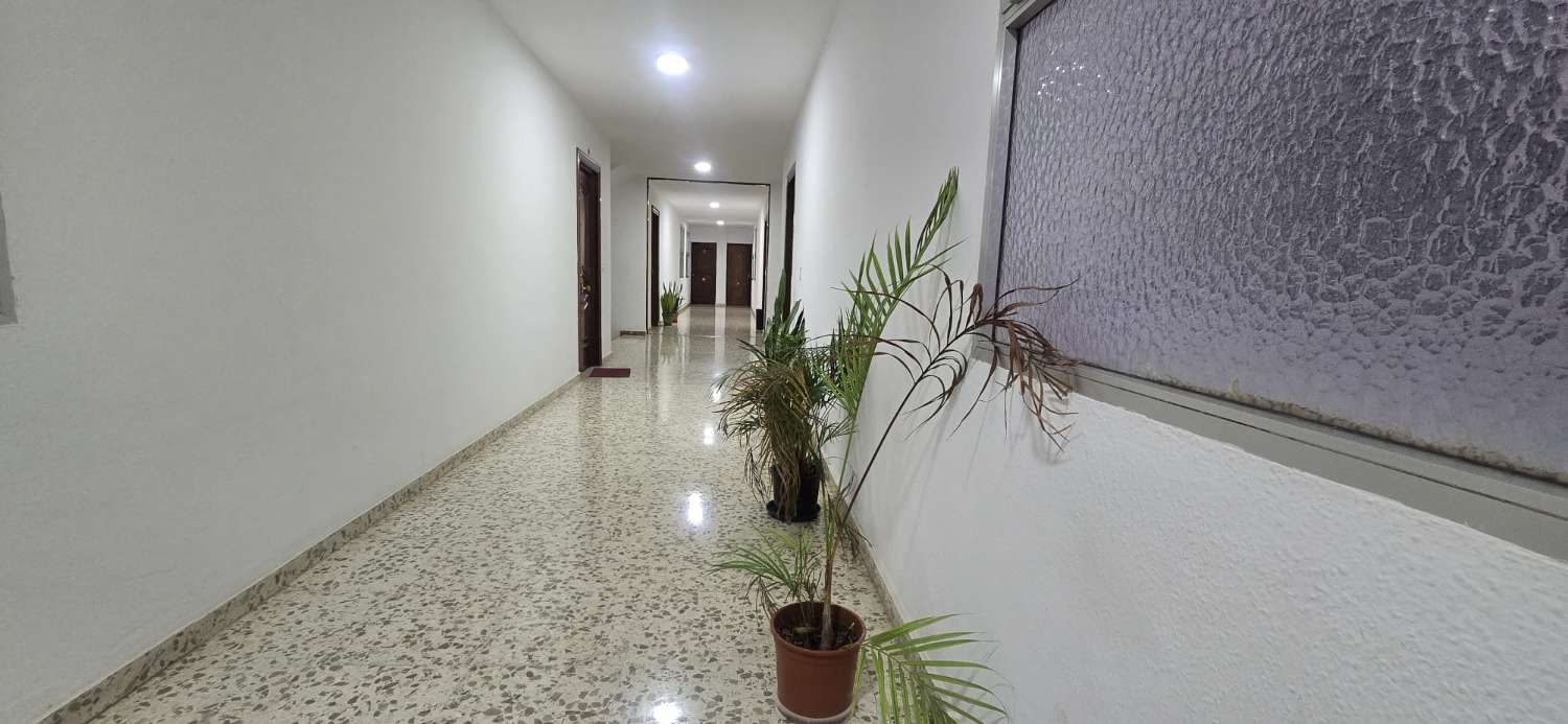 TRES DORMITORIOS , BAÑO Y GARAJE