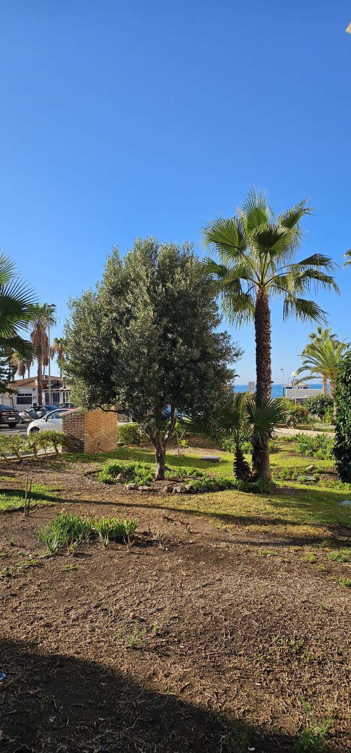 квартира в продаже в Torrox Costa