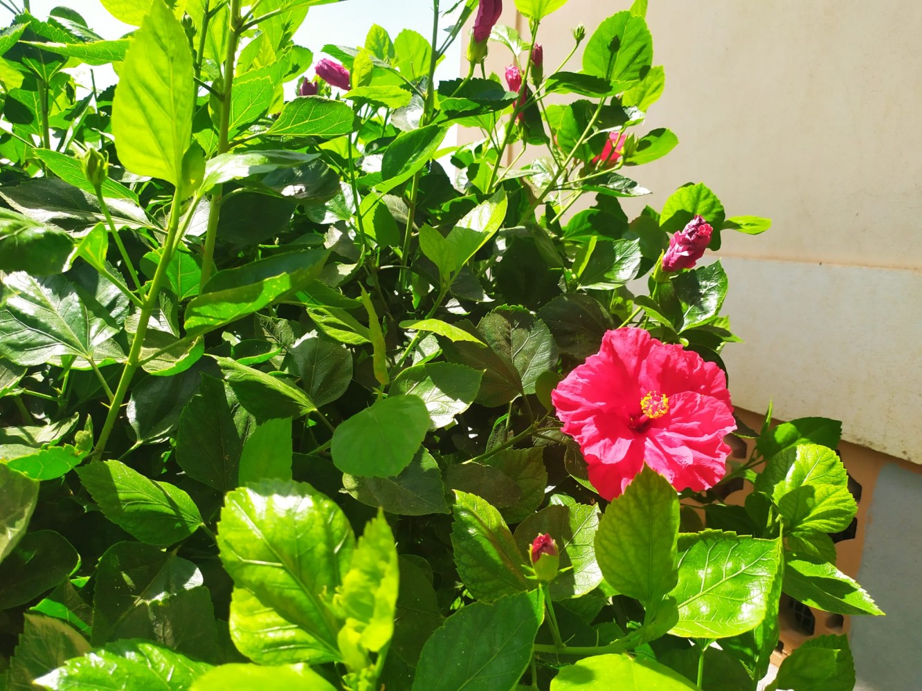 Ein Schlafzimmer direkt am Strand, El Peñóncillo