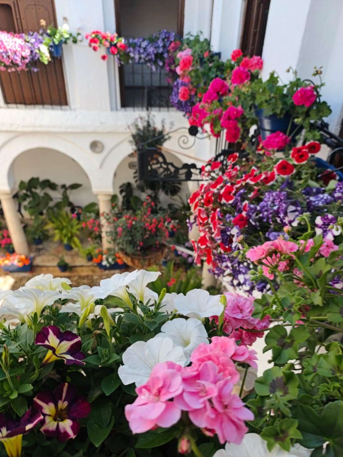 Дом в продаже в Espejo