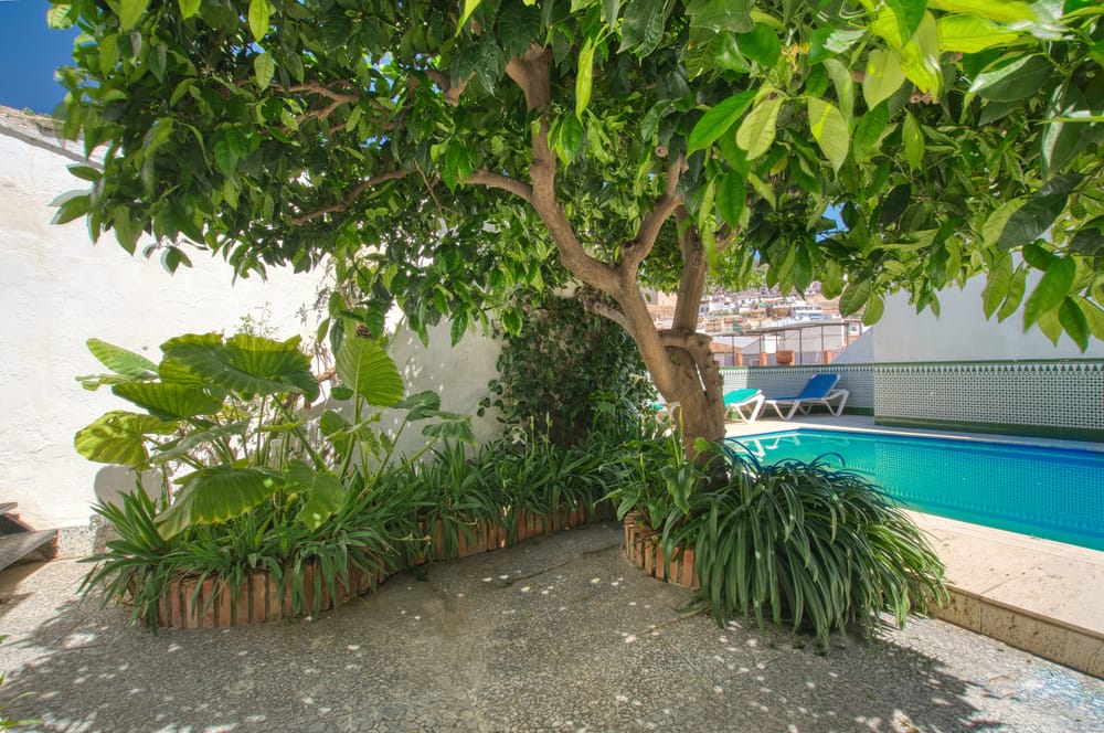 CASAS ADOSADA  EN VELEZ MALAGA